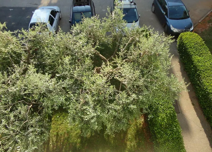 Appartement Pantos *